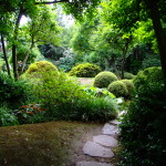 62-praha_troja_botanicka_zahrada_japonska_zahrada