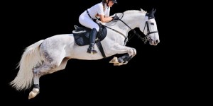Equestrian,Sport:,Young,Girl,In,Jumping,Show,(isolated,On,Black)